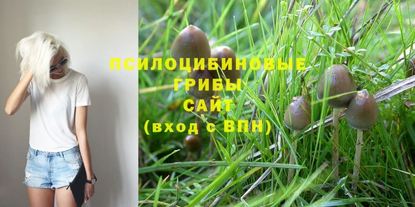 амфетамин Белокуриха
