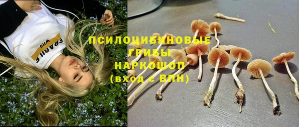 амфетамин Белокуриха