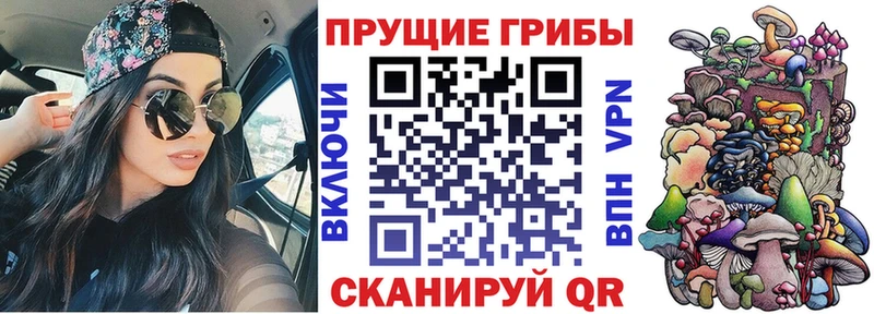 закладка  мега ONION  Псилоцибиновые грибы Cubensis  Ялта 